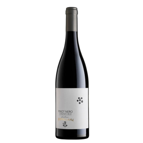 Trentino Pinot Nero DOC 2022 - Cantina Rotaliana