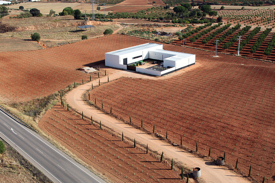 Bodegas y Viñedos Ponce