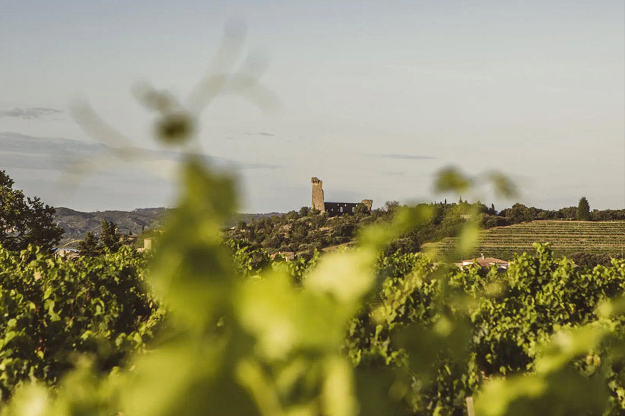 Domaine Raymond Usseglio