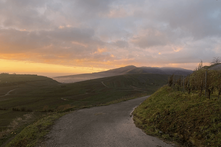 Domaine Amélie & Charles Sparr