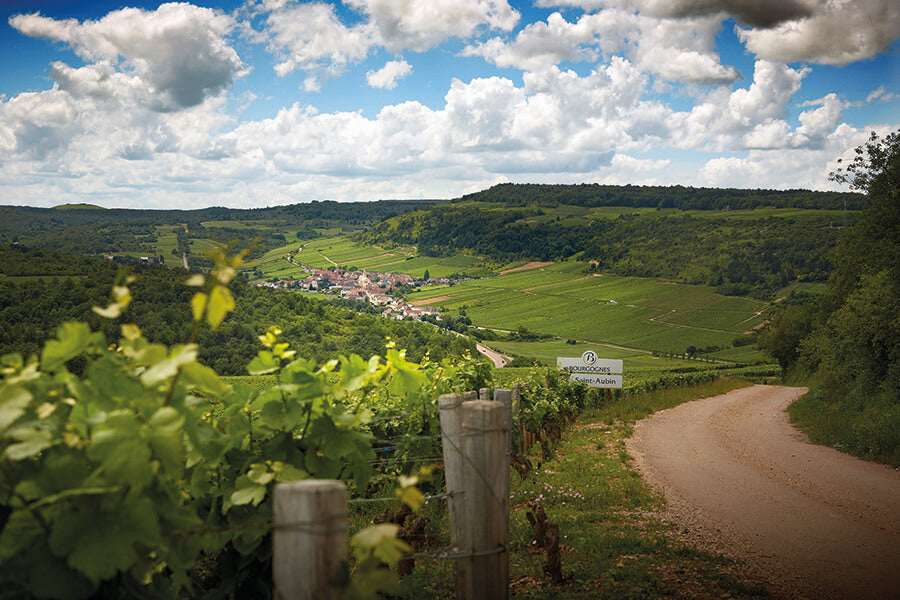 Domaine Roux