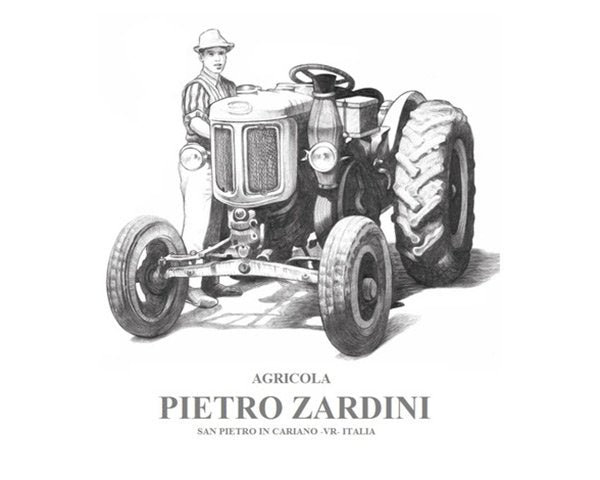 Pietro Zardini