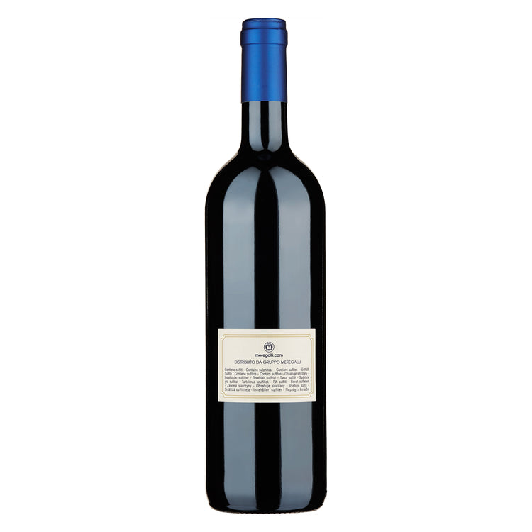 Toscana IGT "Guidalberto" 2023 - Tenuta San Guido