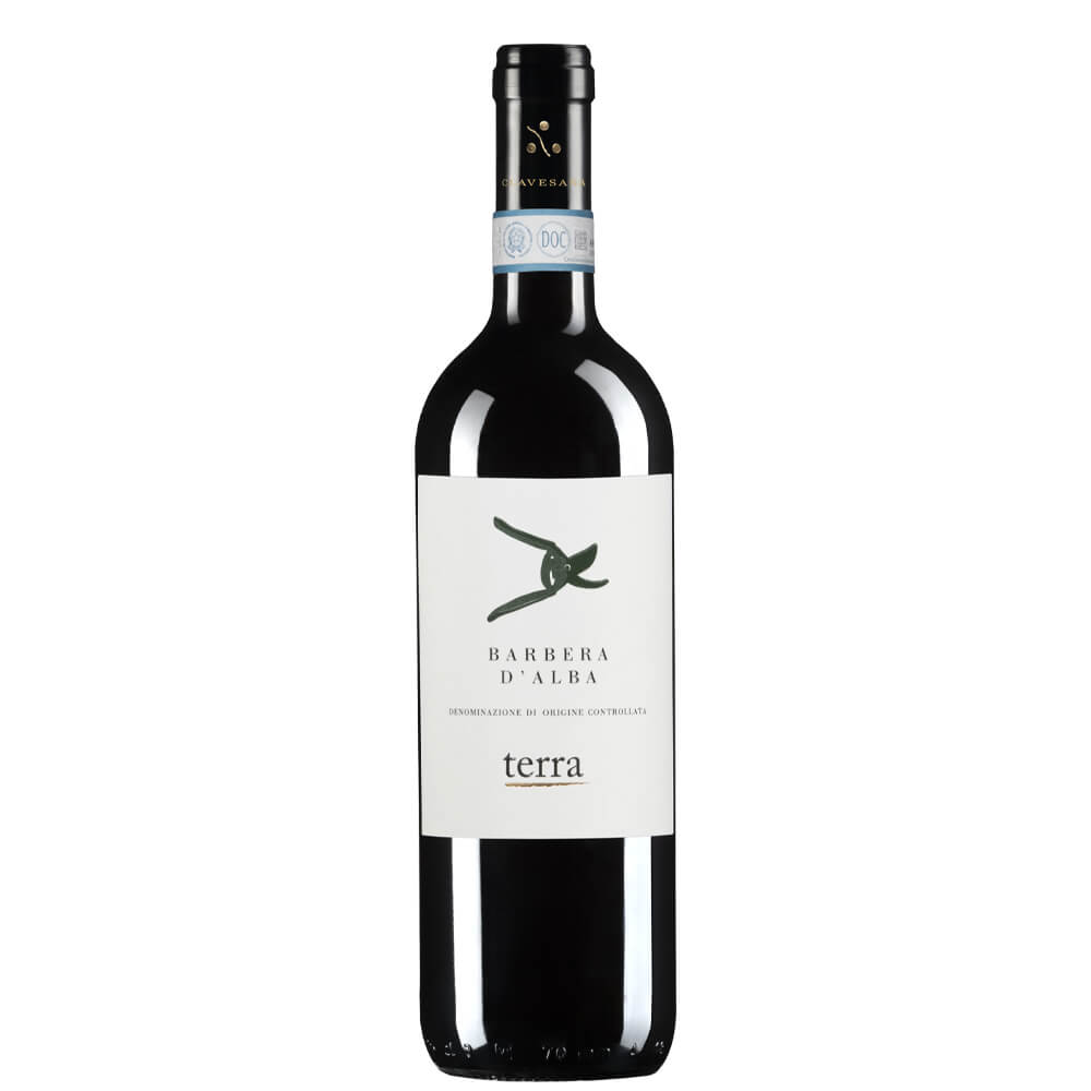 Barbera d’Alba DOC 2025 - Clavesana