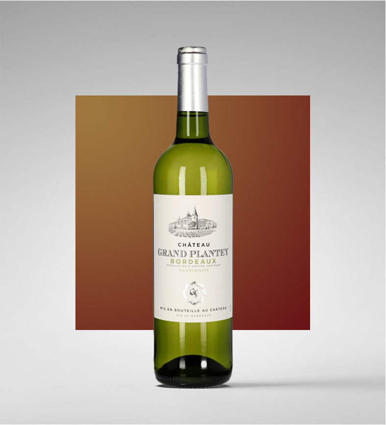 Bordeaux Blanc Sauvignon AOP 2024 - Château Grand Plantey