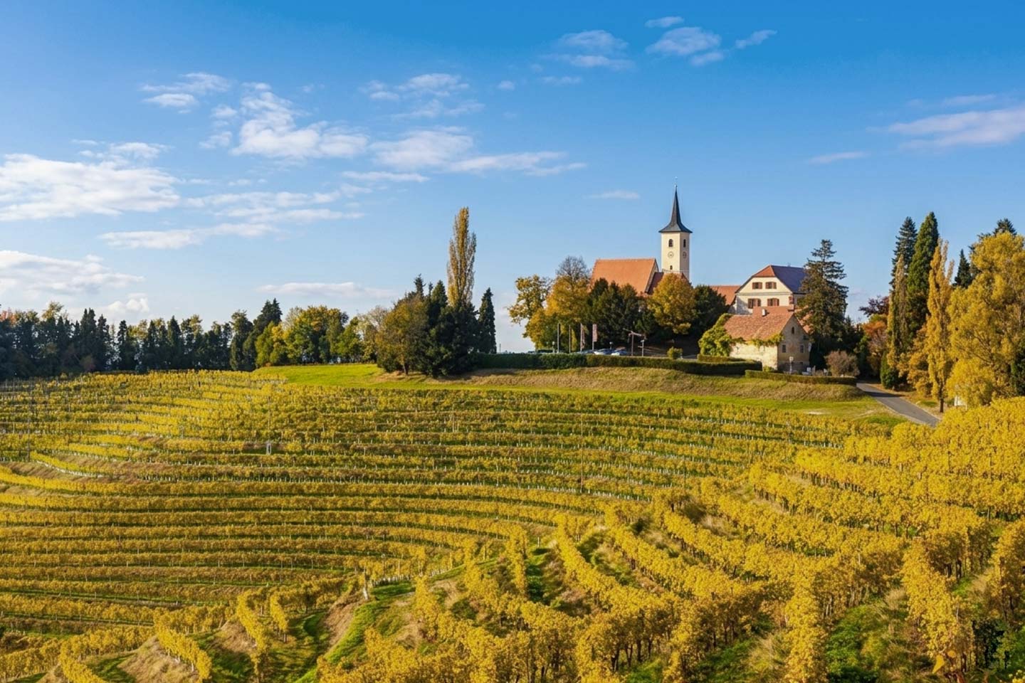 Weine aus dem Nordosten