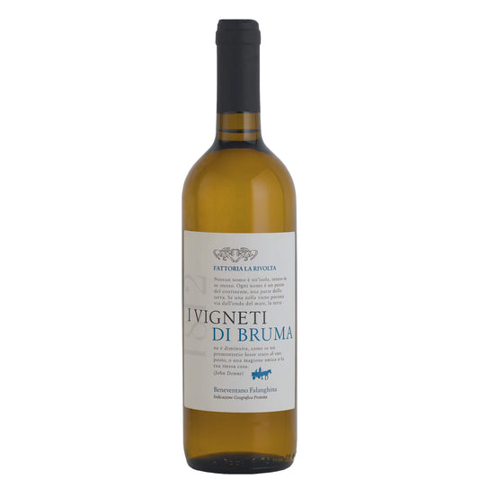 Beneventano Falanghina IGP "Vigneti di Bruma" 2022 - Fattoria La Rivolta