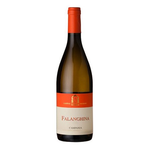 Campania Falanghina IGT 2023 - Antonio Caggiano