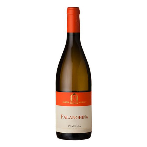Campania Falanghina IGT 2024 - Antonio Caggiano