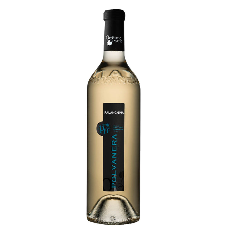 Puglia Falanghina IGT 2024 - Polvanera