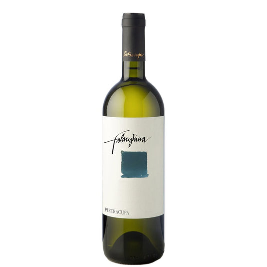 Benevento Falanghina IGT 2023 - Pietracupa