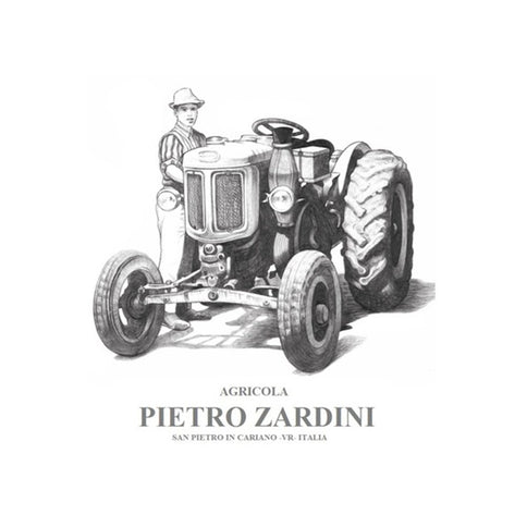 Amarone della Valpolicella DOC "Pietro Junior" 2020 - Pietro Zardini