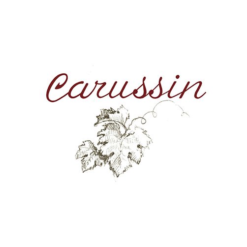Barbera d'Asti DOCG "Asinoi" 2023 - Carussin