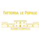 Maremma Toscana Rosso IGT "Saffredi" 2020 - Fattoria Le Pupille