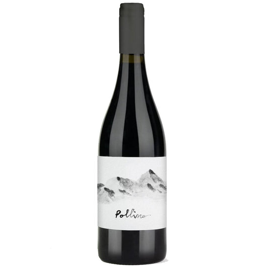 Terre di Cosenza DOC "Pollino" 2019 - Calabrese