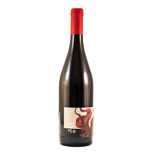 Colli Tortonesi Barbera Superiore DOC 2020 - Oltretorrente