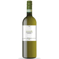 Verdicchio dei Castelli di Jesi Classico Superiore DOC "Serra 46" biologico 2024 - Filodivino (tappo a vite)
