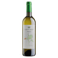 Verona Bianco IGT “Timido” 2023 - Corte Bravi